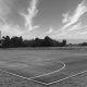 Can You Play Basketball at Elementary Schools? A Guide | Best Schools in America: Top Public & Private Options