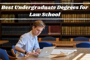 Top Undergraduate Degrees for Law School Success | Best Schools in America: Top Public & Private Options
