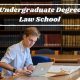 Top Undergraduate Degrees for Law School Success | Best Schools in America: Top Public & Private Options