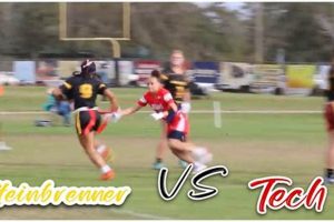 Go Warriors! Steinbrenner HS Football Updates | Best Schools in America: Top Public & Private Options