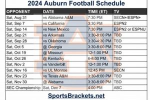 Auburn High Football: 2024-2025 Schedule | Best Schools in America: Top Public & Private Options