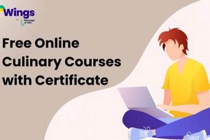 Top 5 Best Free Online Culinary Schools of 2024 Best Schools in America: Top Public & Private Options Top 5 Best Free Online Culinary Schools of 2024 | Best Schools in America: Top Public & Private Options