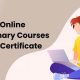 Top 5 Best Free Online Culinary Schools of 2024 | Best Schools in America: Top Public & Private Options