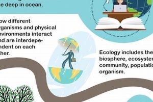 Top Best Schools for Ecology Programs 2024 | Best Schools in America: Top Public & Private Options