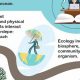 Top Best Schools for Ecology Programs 2024 | Best Schools in America: Top Public & Private Options