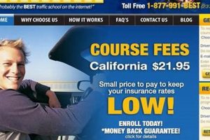 Top Online Traffic School Coupons & Discounts | Best Schools in America: Top Public & Private Options