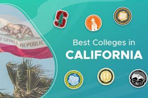 Top Best Schools in CA: 2024 Rankings | Best Schools in America: Top Public & Private Options