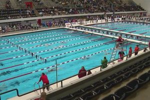 Carmel High School Swim Team: Go Greyhounds! Best Schools in America: Top Public & Private Options Carmel High School Swim Team: Go Greyhounds! | Best Schools in America: Top Public & Private Options