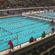 Carmel High School Swim Team: Go Greyhounds! | Best Schools in America: Top Public & Private Options