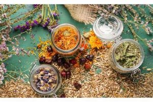 Top 10 Best Herbalist Schools: 2024 Guide | Best Schools in America: Top Public & Private Options