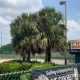 Top-Rated Pines Middle School: A Guide | Best Schools in America: Top Public & Private Options