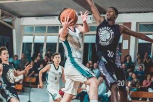 HS Basketball Quarter Length: Explained | Best Schools in America: Top Public & Private Options