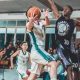 HS Basketball Quarter Length: Explained | Best Schools in America: Top Public & Private Options