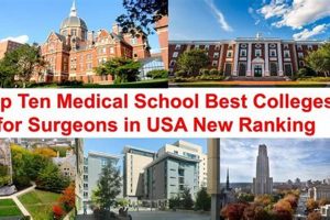 Top 5 Best Surgeon Schools: 2024 Guide | Best Schools in America: Top Public & Private Options