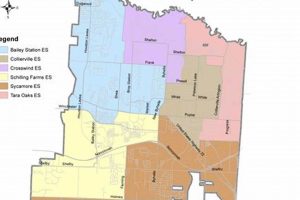 Dare County NC School Zones: Safety Guide | Best Schools in America: Top Public & Private Options