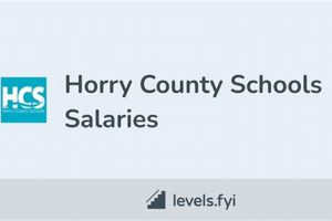 Horry County Schools Payroll Guide & Resources | Best Schools in America: Top Public & Private Options