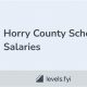 Horry County Schools Payroll Guide & Resources | Best Schools in America: Top Public & Private Options