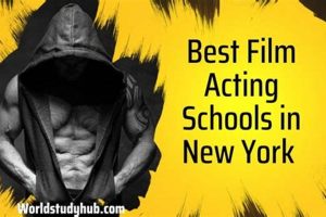 Top 10 Best Acting Schools in the US 2024 | Best Schools in America: Top Public & Private Options
