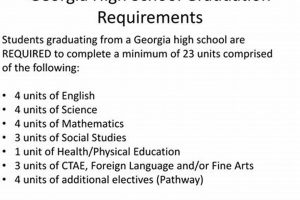 Georgia High School Graduation Requirements Best Schools in America: Top Public & Private Options Georgia High School Graduation Requirements | Best Schools in America: Top Public & Private Options