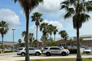 Jensen Beach High Stabbing: Update & Aftermath | Best Schools in America: Top Public & Private Options
