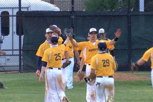 Top WV High School Baseball Teams & Players | Best Schools in America: Top Public & Private Options