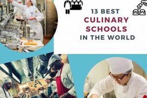 Top 5 Best Culinary Schools In The World 2024 | Best Schools in America: Top Public & Private Options