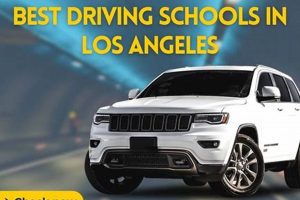 Top-Rated Best Driving Schools: Find Yours | Best Schools in America: Top Public & Private Options