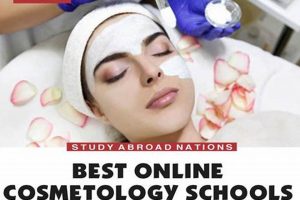 Top 10 Best Online Cosmetology Schools 2024 | Best Schools in America: Top Public & Private Options