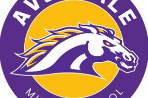 Avondale Middle School: A Top Choice | Best Schools in America: Top Public & Private Options