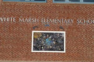 Top White Marsh Elementary Schools: A Guide | Best Schools in America: Top Public & Private Options