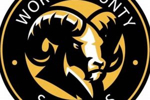 Now Hiring! Worth County Schools Jobs - Apply Today! | Best Schools in America: Top Public & Private Options