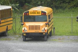 Now Hiring! Carter County Schools Jobs Available | Best Schools in America: Top Public & Private Options