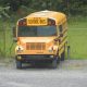 Now Hiring! Carter County Schools Jobs Available | Best Schools in America: Top Public & Private Options