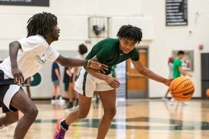 Pelham High Basketball: Team, Scores & More | Best Schools in America: Top Public & Private Options