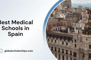 Top Medical Schools in Spain: A 2024 Guide | Best Schools in America: Top Public & Private Options