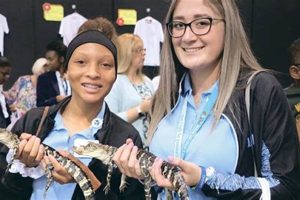 Find Catholic Elementary School Grants & Aid | Best Schools in America: Top Public & Private Options