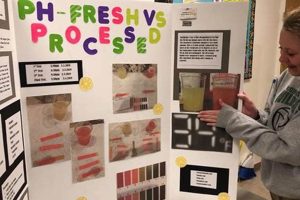 Amazing Middle School Science Fair Projects Guide | Best Schools in America: Top Public & Private Options