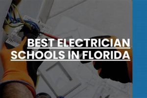 Top Electrician Schools in Florida: 2024 Guide Best Schools in America: Top Public & Private Options Top Electrician Schools in Florida: 2024 Guide | Best Schools in America: Top Public & Private Options