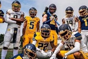 Top Cheltenham High School Football Teams | Best Schools in America: Top Public & Private Options