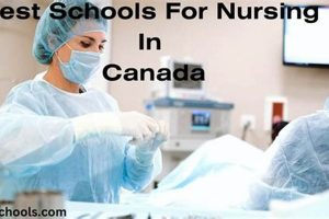 Top Nursing Schools in Canada: 2024 Rankings Best Schools in America: Top Public & Private Options Top Nursing Schools in Canada: 2024 Rankings | Best Schools in America: Top Public & Private Options