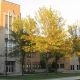 The Best Urban Middle School Programs | Best Schools in America: Top Public & Private Options
