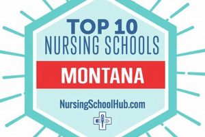 Top Nursing Schools in Montana: 2024 Guide | Best Schools in America: Top Public & Private Options