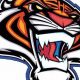 Saltillo High Football: Home of the Tigers | Best Schools in America: Top Public & Private Options