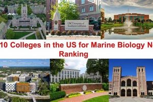Top Biology Schools in Florida: 2024 Guide | Best Schools in America: Top Public & Private Options