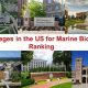 Top Biology Schools in Florida: 2024 Guide | Best Schools in America: Top Public & Private Options