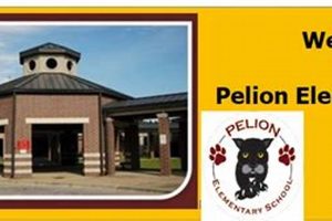 Top-Rated Pelion Elementary School: A Guide | Best Schools in America: Top Public & Private Options