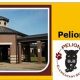 Top-Rated Pelion Elementary School: A Guide | Best Schools in America: Top Public & Private Options
