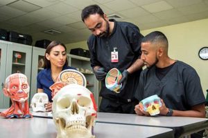 6 Year Medical Programs Out Of High School | Best Schools in America: Top Public & Private Options