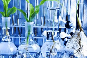 Top Best Schools for Biotechnology Programs | Best Schools in America: Top Public & Private Options