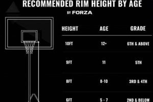 Official High School Basketball Hoop Height: Specs & FAQs | Best Schools in America: Top Public & Private Options